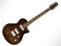 Taylor's SolidBody Custom